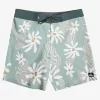 Mens Quiksilver Boardshorts | Surfsilk 69 18