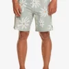 Mens Quiksilver Boardshorts | Surfsilk 69 18