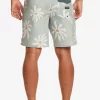 Mens Quiksilver Boardshorts | Surfsilk 69 18