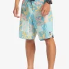 Mens Quiksilver Shorts & Amphibians | Surfsilk Hawaii Scallop 19 19