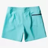 Mens Quiksilver Boardshorts | Surfsilk Kaimana 16