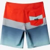 Mens Quiksilver Boardshorts | Surfsilk Panel 20