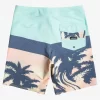 Mens Quiksilver Boardshorts | Surfsilk Panel 20