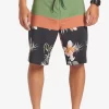 Mens Quiksilver Boardshorts | Surfsilk Panel 20