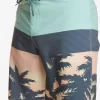 Mens Quiksilver Boardshorts | Surfsilk Panel 20