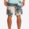 Mens Quiksilver Boardshorts | Surfsilk Panel 20