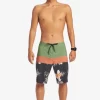 Mens Quiksilver Boardshorts | Surfsilk Panel 20