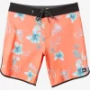 Mens Quiksilver Boardshorts | Surfsilk Scallop 19