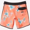 Mens Quiksilver Boardshorts | Surfsilk Scallop 19