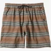 Mens Quiksilver Boardshorts | Taxer Print 18