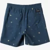 Mens Quiksilver Boardshorts | Taxer Print 18