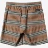 Mens Quiksilver Boardshorts | Taxer Print 18