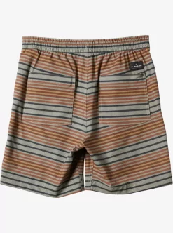 Mens Quiksilver Boardshorts | Taxer Print 18" Amphibian Boardshorts