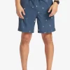 Mens Quiksilver Boardshorts | Taxer Print 18