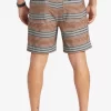 Mens Quiksilver Boardshorts | Taxer Print 18
