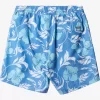 Mens Quiksilver Elastic Waist | Waterman Big Charmer Volleys