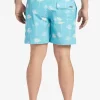 Mens Quiksilver Elastic Waist | Waterman Cliffside 17