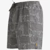 Mens Quiksilver Elastic Waist | Waterman Longboard Volley 17
