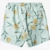 Mens Quiksilver Elastic Waist | Waterman Perfect Bloom Volley Volleys